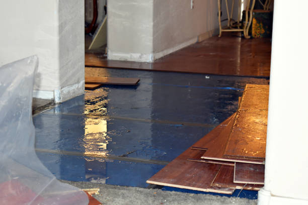 Professional Water Extraction technician working in Muldoon, TX